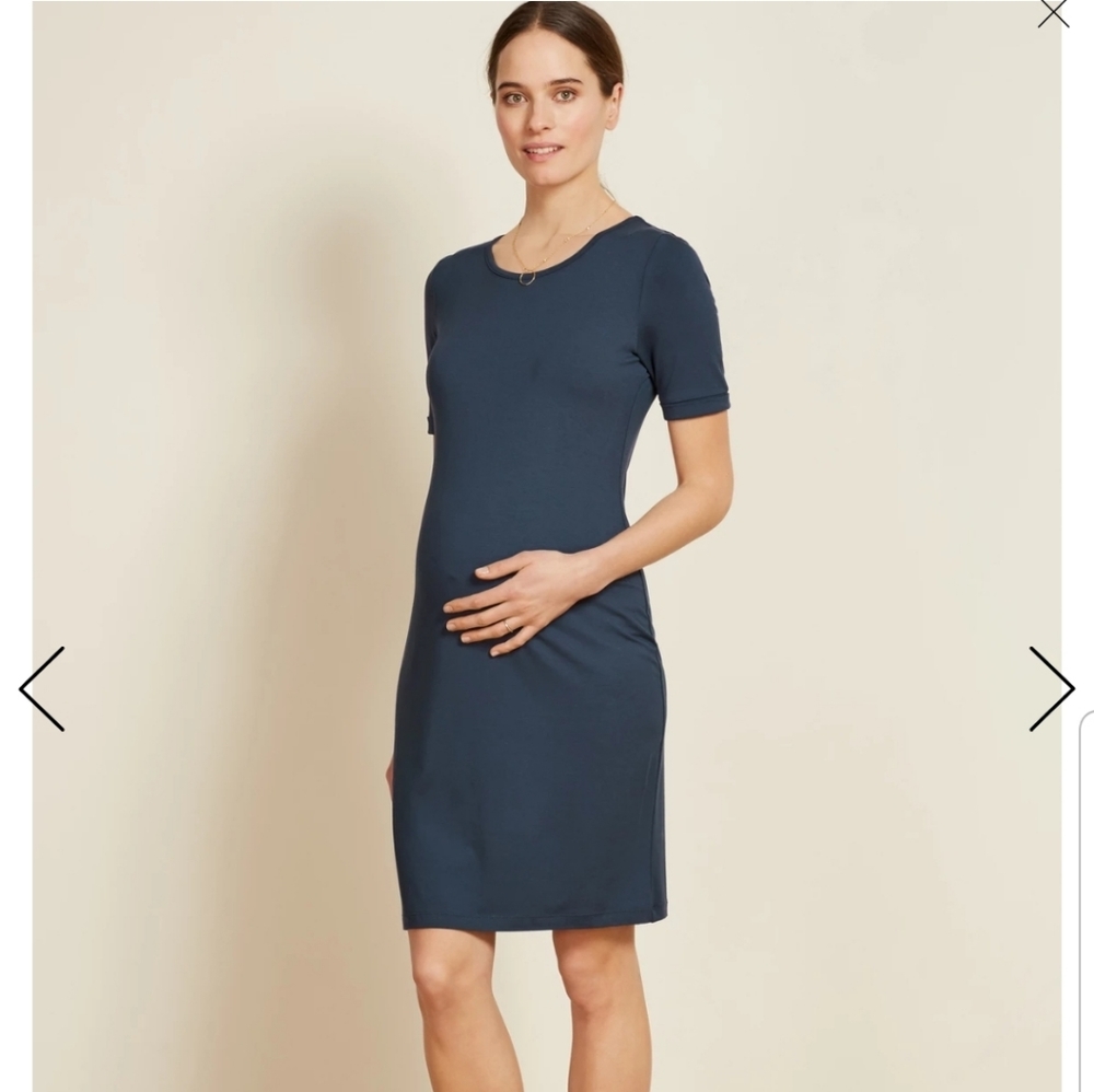 Isabella Oliver Ellie Maternity Dress